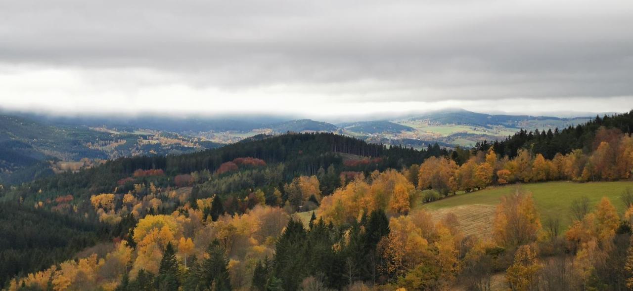 Hotel Zlaty Potok Nicov  Екстер'єр фото