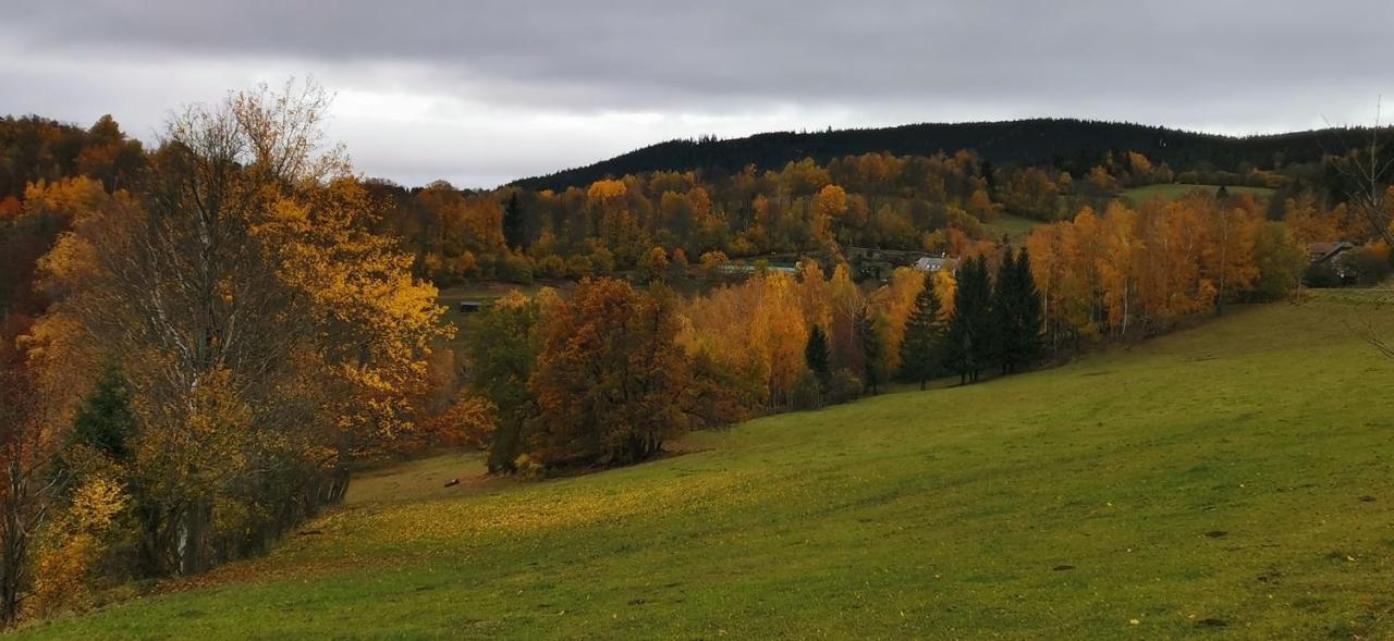 Hotel Zlaty Potok Nicov  Екстер'єр фото