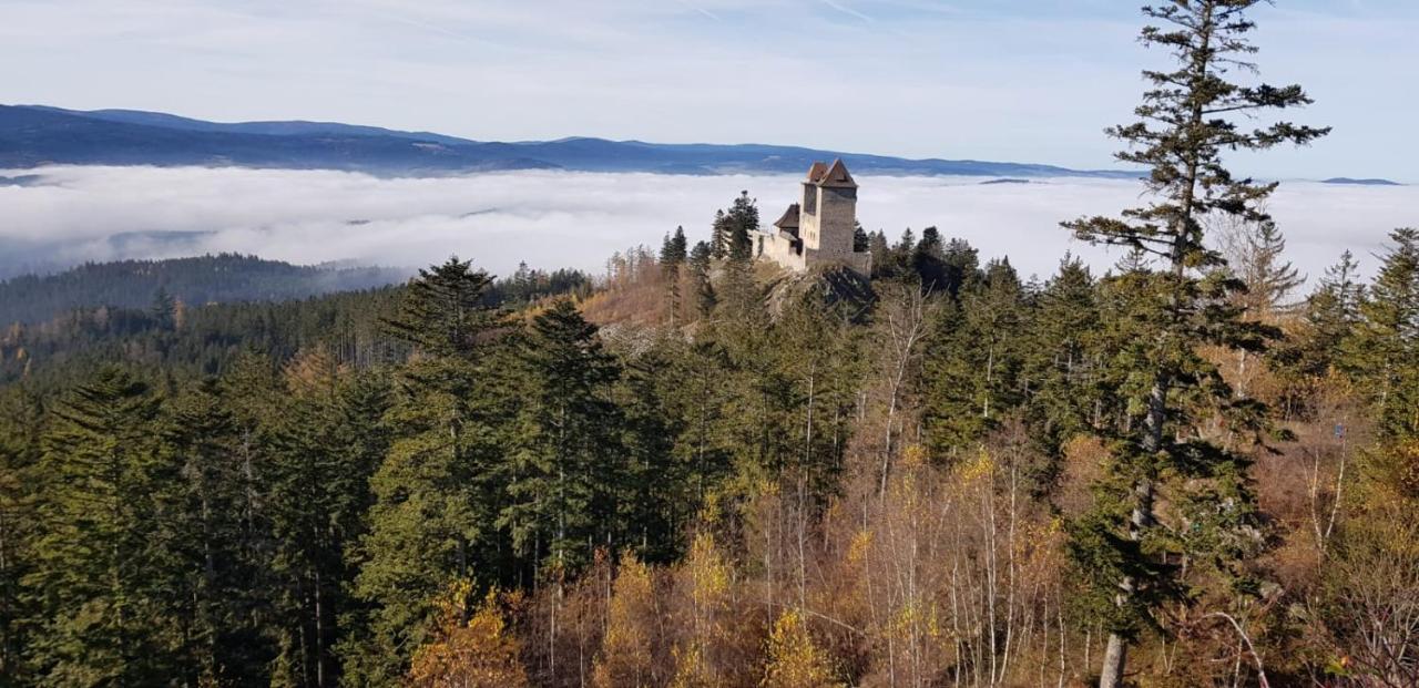 Hotel Zlaty Potok Nicov  Екстер'єр фото