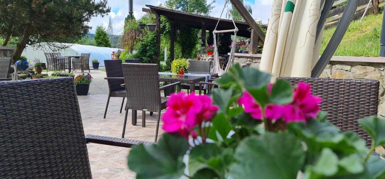 Hotel Zlaty Potok Nicov  Екстер'єр фото