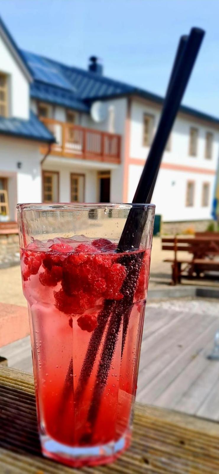 Hotel Zlaty Potok Nicov  Екстер'єр фото